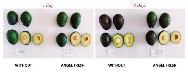 "Avocados can keep fresh for longer with our products, even during global shipping capacity limitation."