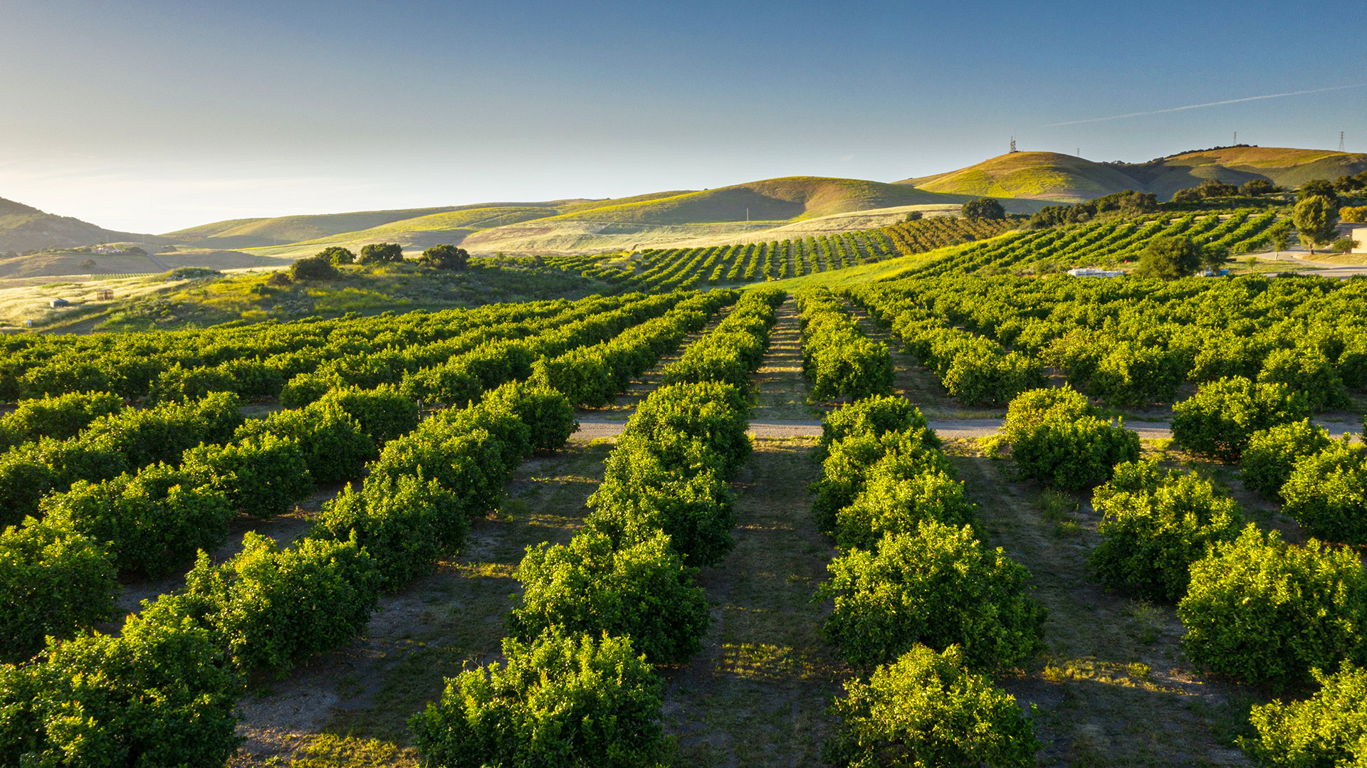 Los Berros Ranch Aerial View