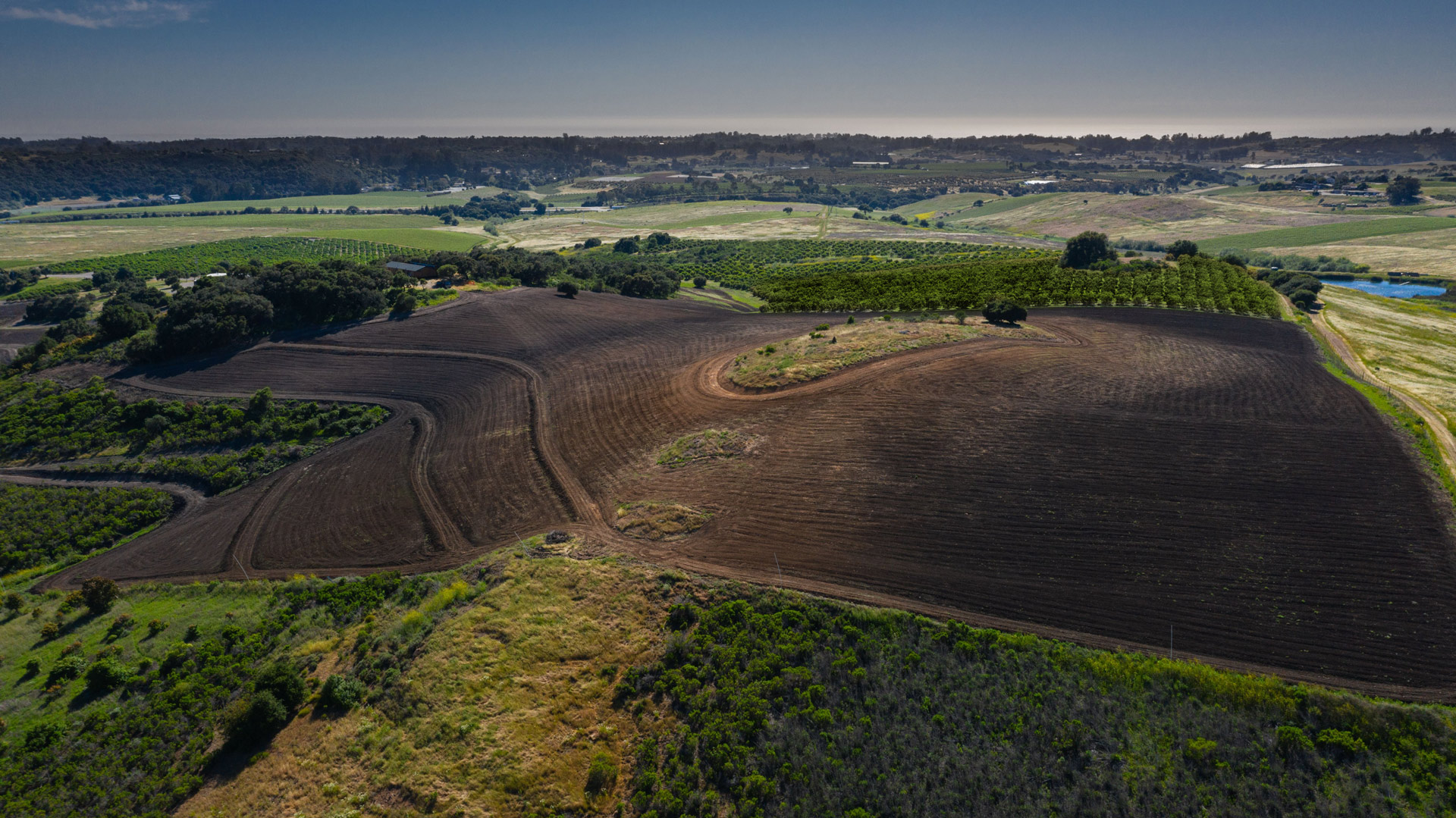 Los Berros Ranch Aerial View