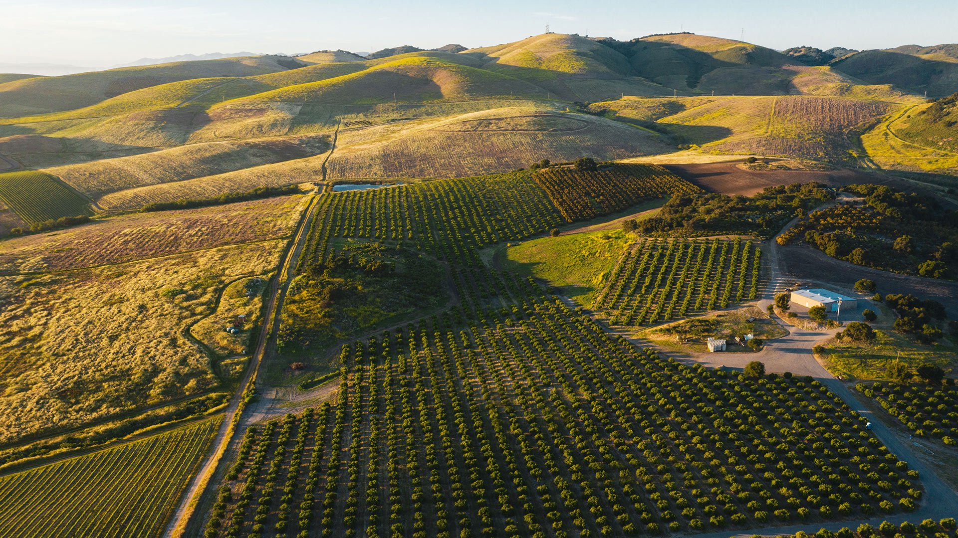 Los Berros Ranch Aerial View at Sunset