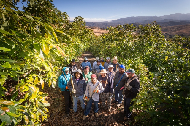 Group of Workers at El Refugio