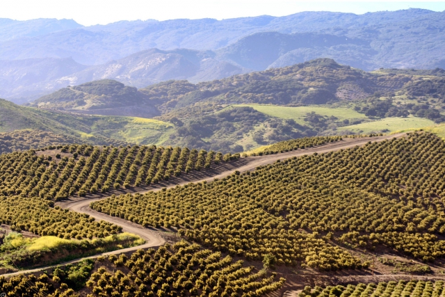 Aerial view El Refugio
