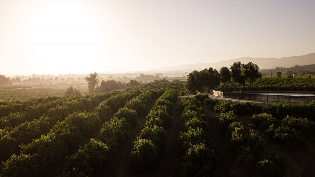 Rancho Limonada Aerial View