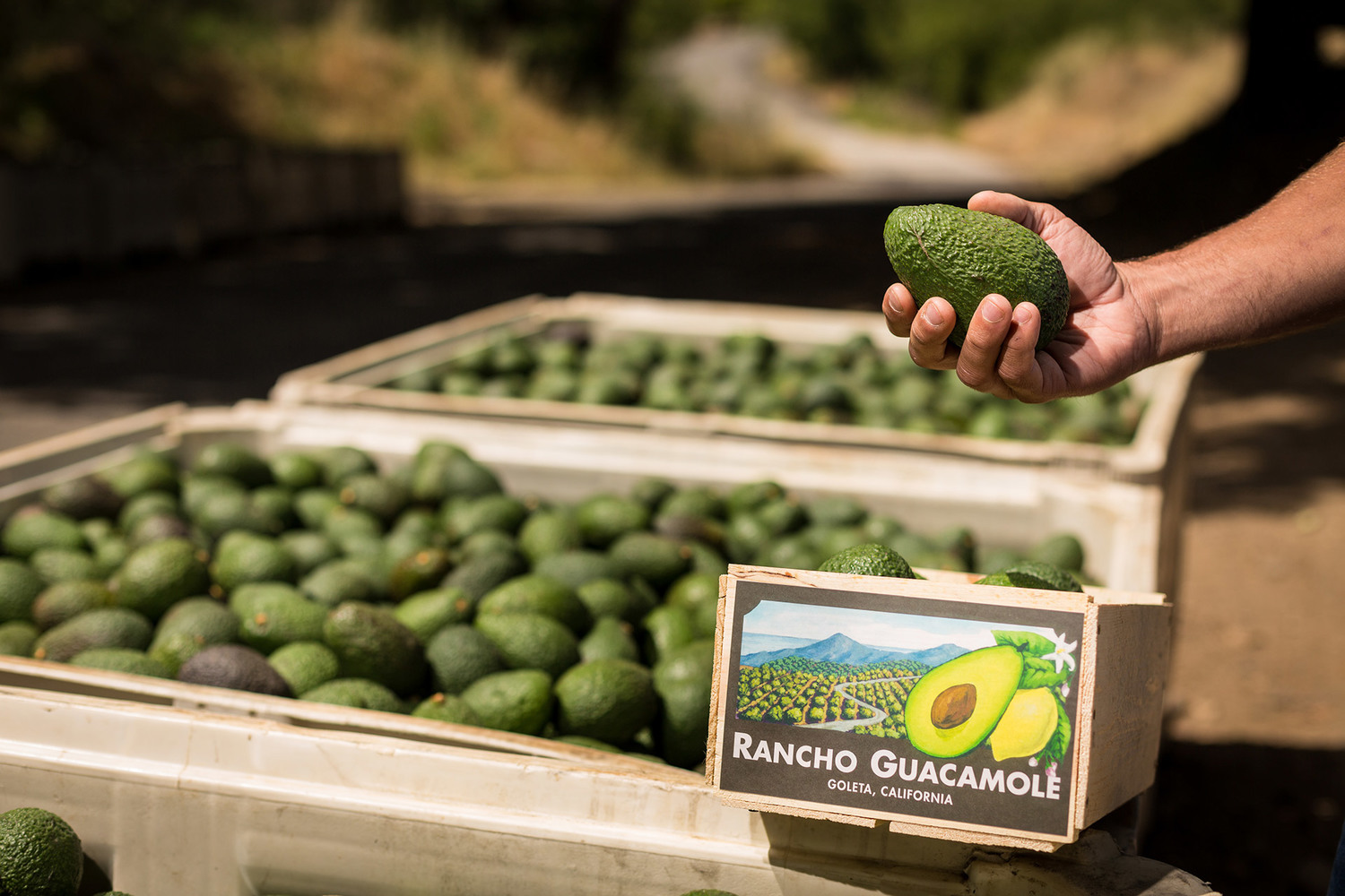 Rancho Guacamole logo